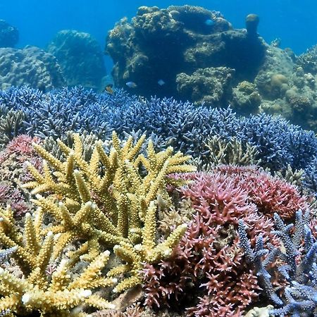 Hotel Alam Karang Gili Gede Exteriér fotografie