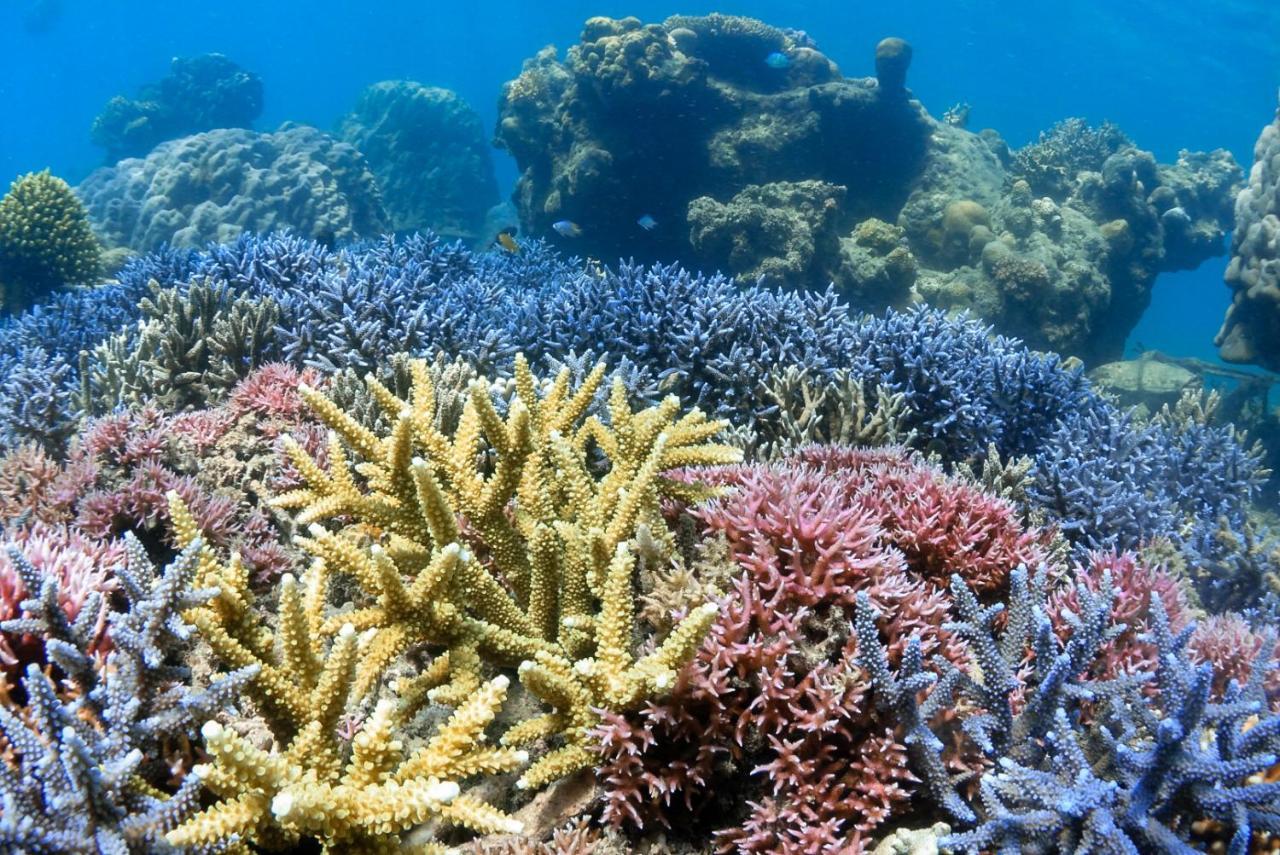 Hotel Alam Karang Gili Gede Exteriér fotografie