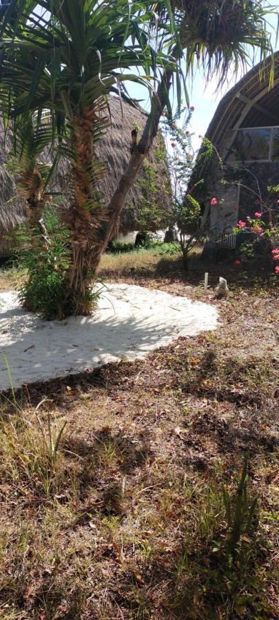Hotel Alam Karang Gili Gede Exteriér fotografie