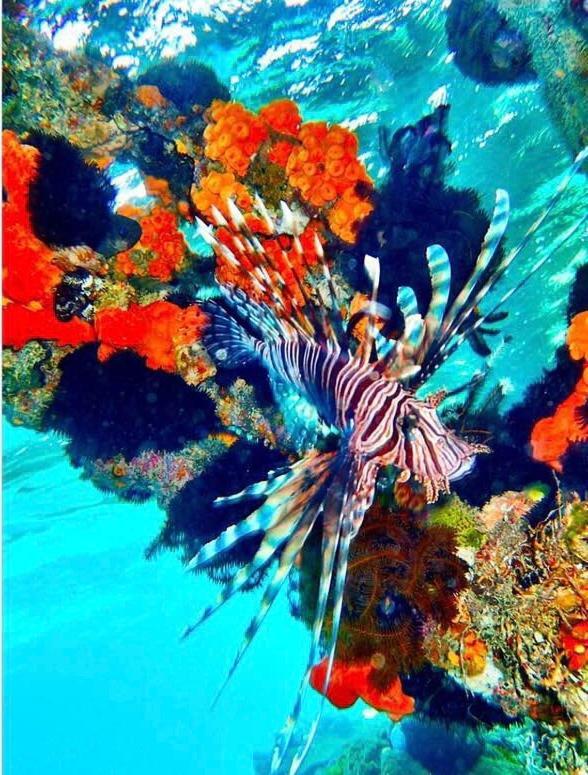 Hotel Alam Karang Gili Gede Exteriér fotografie